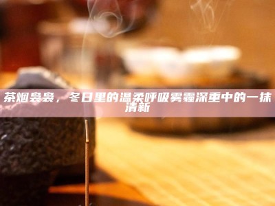 茶烟袅袅，冬日里的温柔呼吸 雾霾深重中的一抹清新
