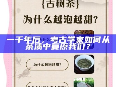 一千年后，考古学家如何从茶渍中复原我们？